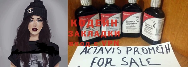 хмурый Аркадак