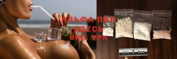 хмурый Аркадак
