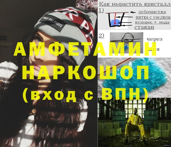 хмурый Аркадак