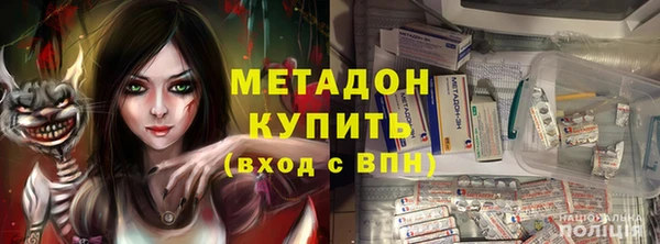 хмурый Аркадак