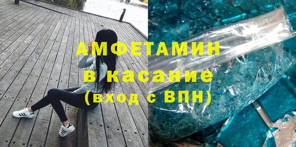 хмурый Аркадак