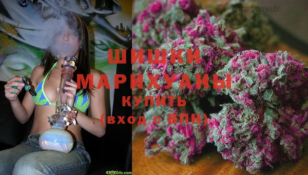хмурый Аркадак