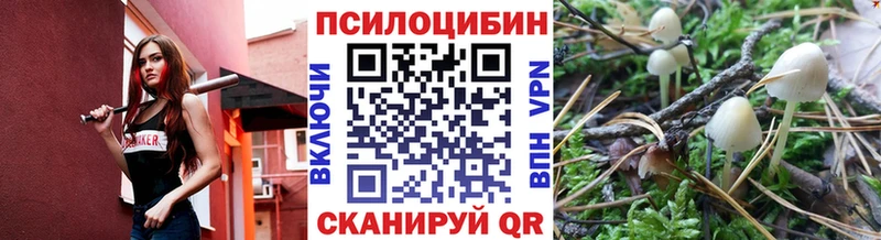 Галлюциногенные грибы Psilocybe  KRAKEN как зайти  Аркадак 