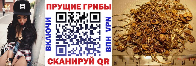 Галлюциногенные грибы GOLDEN TEACHER Аркадак